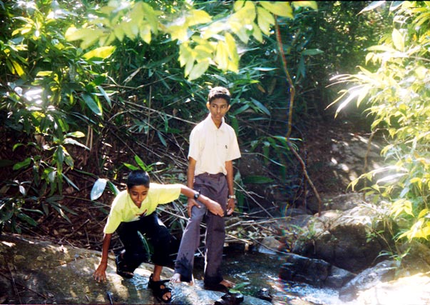 trek at Ponmudi