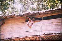 Tree top hut